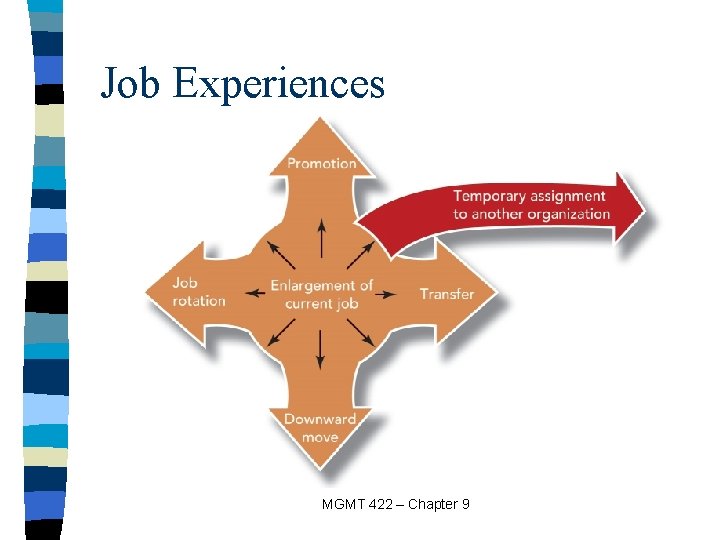 Job Experiences MGMT 422 – Chapter 9 