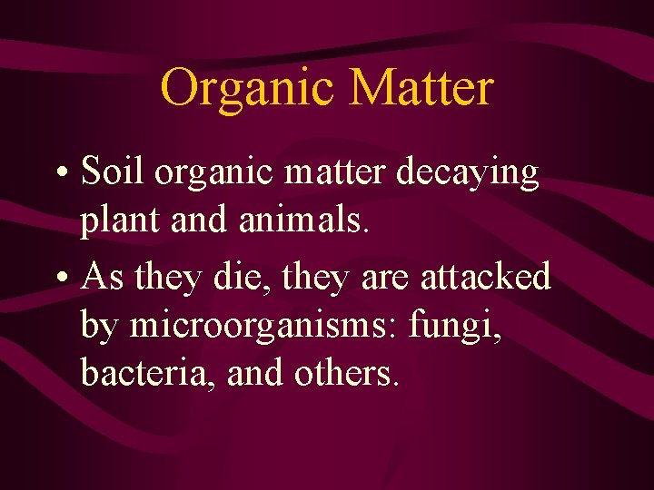 Organic Matter • Soil organic matter decaying plant and animals. • As they die,