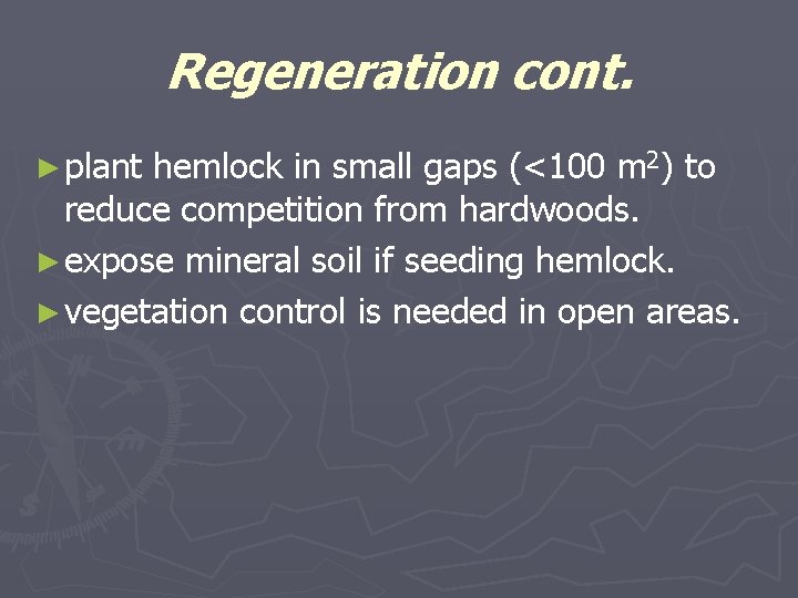 Regeneration cont. ► plant hemlock in small gaps (<100 m 2) to reduce competition