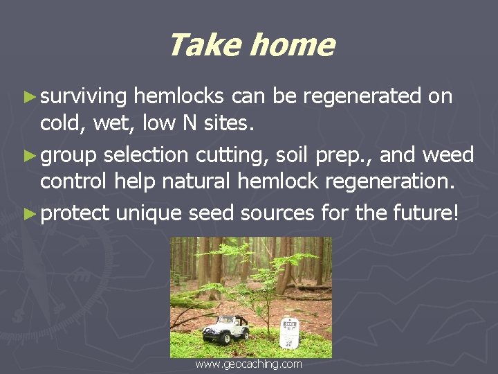 Take home ► surviving hemlocks can be regenerated on cold, wet, low N sites.