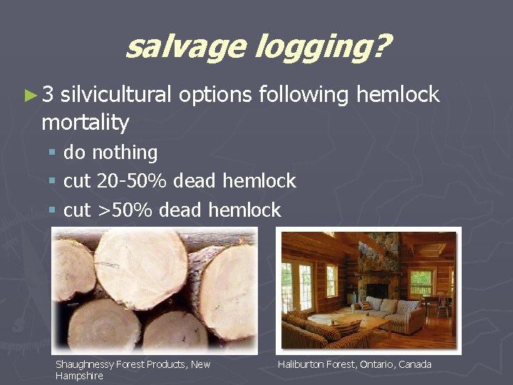 salvage logging? ► 3 silvicultural options following hemlock mortality § do nothing § cut