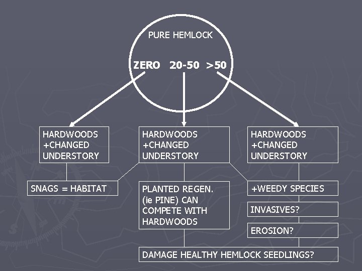 PURE HEMLOCK ZERO 20 -50 >50 HARDWOODS +CHANGED UNDERSTORY SNAGS = HABITAT HARDWOODS +CHANGED