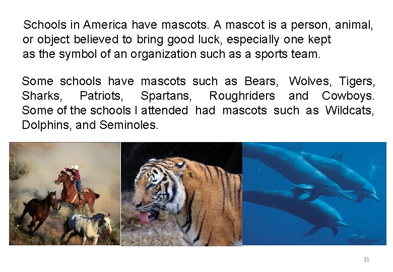 Schools in America have mascots. A mascot is a person, animal, or object believed