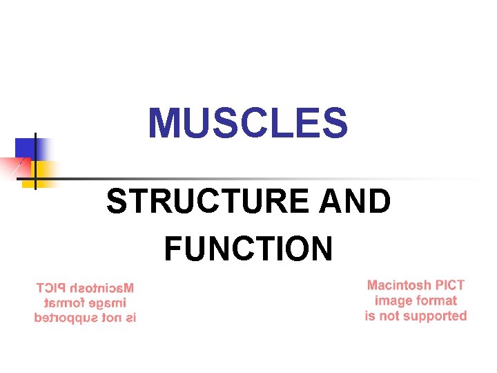 MUSCLES STRUCTURE AND FUNCTION 