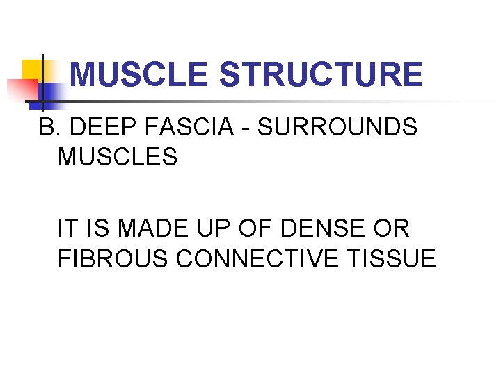 MUSCLE STRUCTURE B. DEEP FASCIA - SURROUNDS MUSCLES IT IS MADE UP OF DENSE