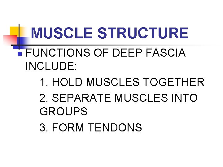 MUSCLE STRUCTURE n FUNCTIONS OF DEEP FASCIA INCLUDE: 1. HOLD MUSCLES TOGETHER 2. SEPARATE