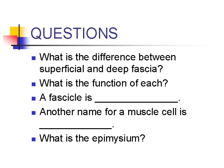 QUESTIONS n n n What is the difference between superficial and deep fascia? What