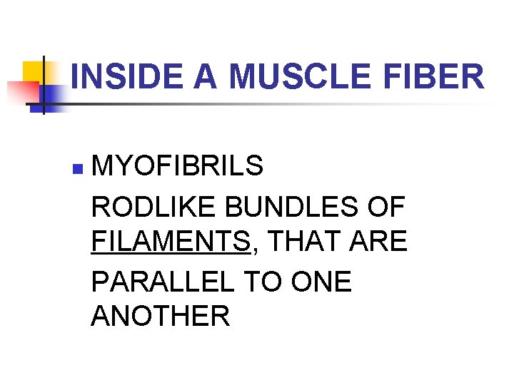 INSIDE A MUSCLE FIBER n MYOFIBRILS RODLIKE BUNDLES OF FILAMENTS, THAT ARE PARALLEL TO