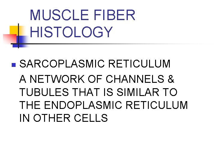 MUSCLE FIBER HISTOLOGY n SARCOPLASMIC RETICULUM A NETWORK OF CHANNELS & TUBULES THAT IS