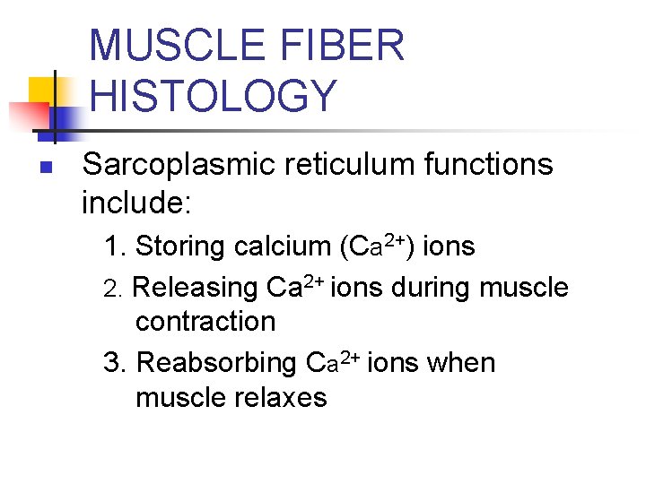 MUSCLE FIBER HISTOLOGY n Sarcoplasmic reticulum functions include: 1. Storing calcium (Ca 2+) ions