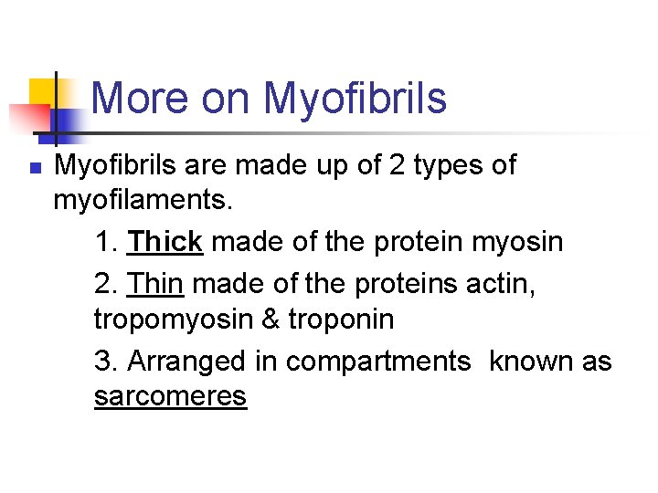 More on Myofibrils are made up of 2 types of myofilaments. 1. Thick made