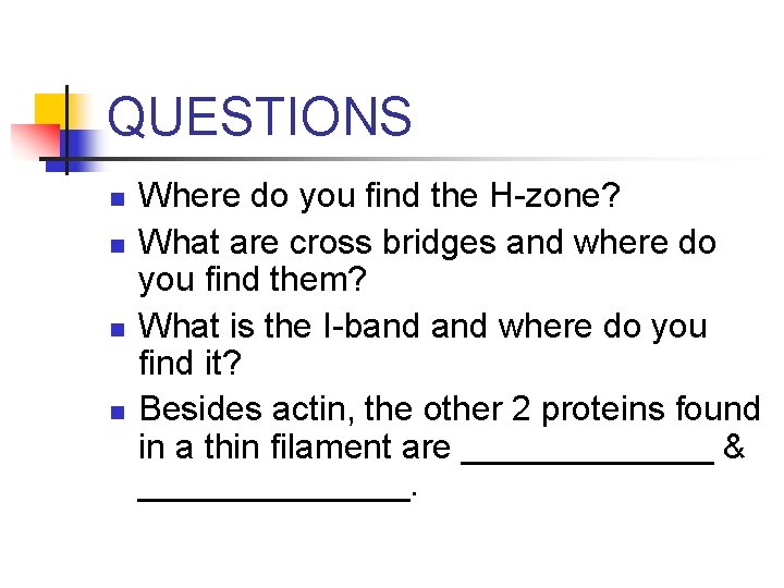 QUESTIONS n n Where do you find the H-zone? What are cross bridges and