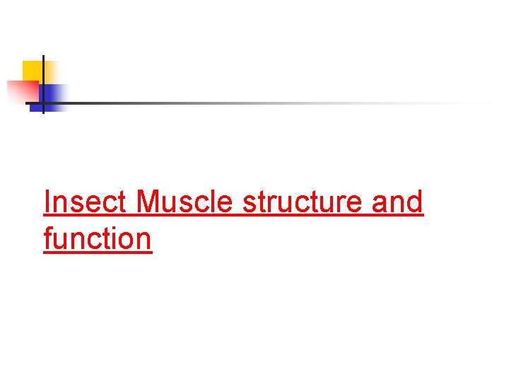 Insect Muscle structure and function 