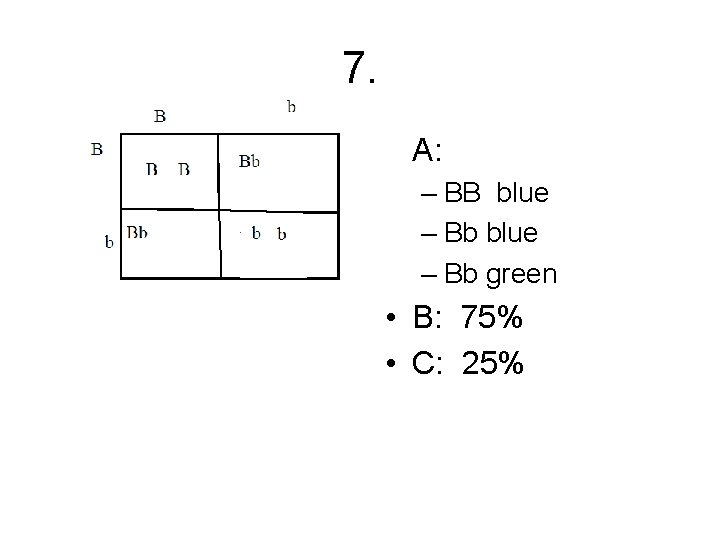 7. • A: – BB blue – Bb green • B: 75% • C: