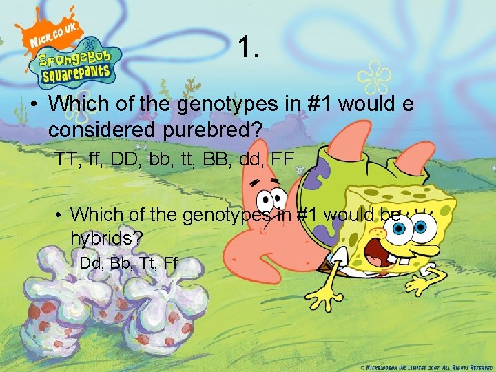 1. • Which of the genotypes in #1 would e considered purebred? TT, ff,