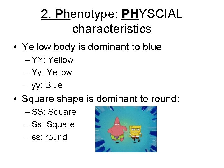 2. Phenotype: PHYSCIAL Ph PH characteristics • Yellow body is dominant to blue –