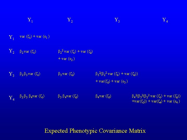 Y 1 Y 2 Y 1 var (ζ 1) + var (ε 1 )