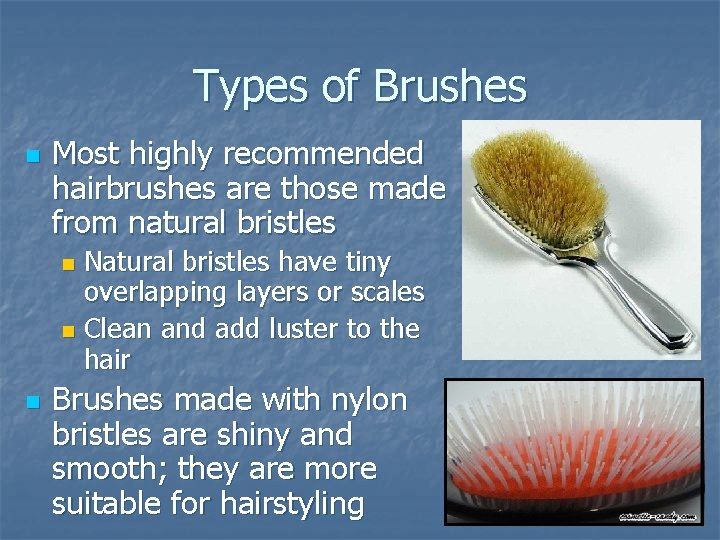 Types of Brushes n Most highly recommended hairbrushes are those made from natural bristles