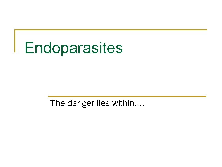 Endoparasites The danger lies within…. 