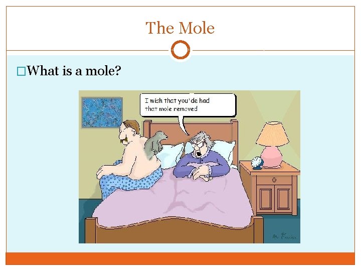 The Mole �What is a mole? 