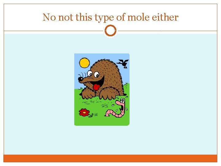 No not this type of mole either 