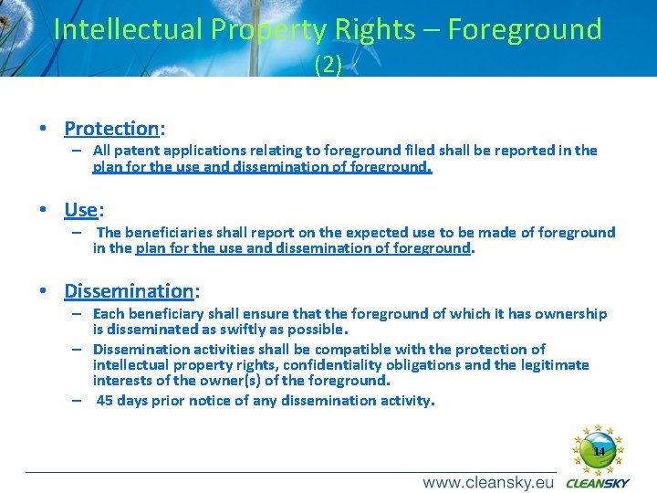 Intellectual Property Rights – Foreground (2) • Protection: – All patent applications relating to