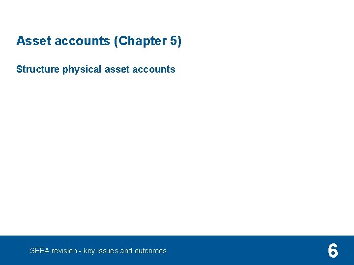 Asset accounts (Chapter 5) Structure physical asset accounts SEEA revision - key issues and