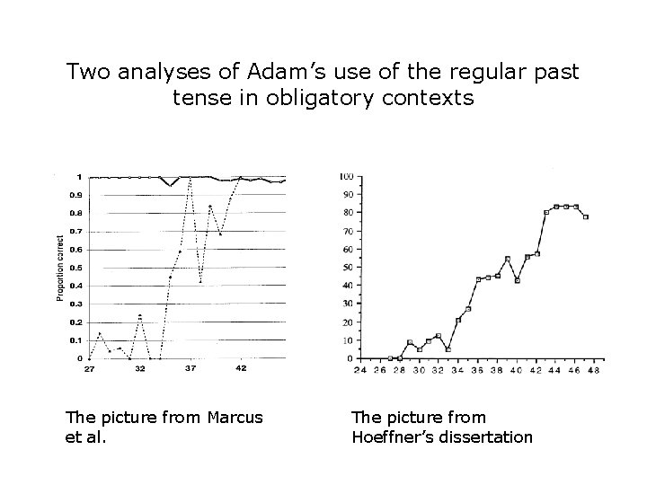 Two analyses of Adam’s use of the regular past tense in obligatory contexts The