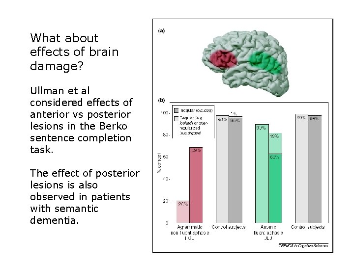 What about effects of brain damage? Ullman et al considered effects of anterior vs