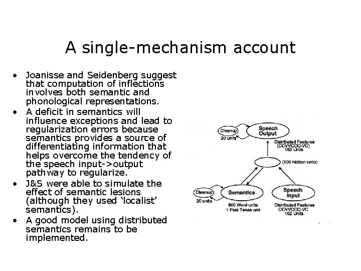 A single-mechanism account • Joanisse and Seidenberg suggest that computation of inflections involves both