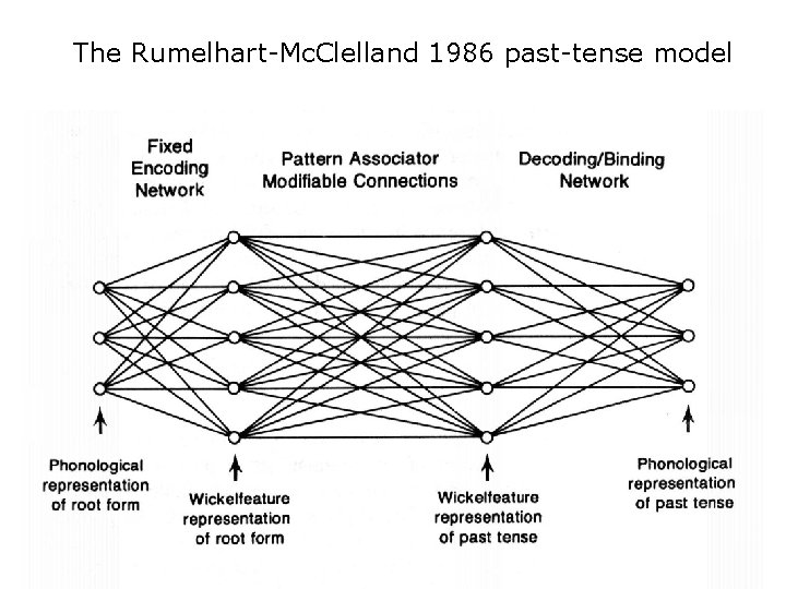 The Rumelhart-Mc. Clelland 1986 past-tense model 