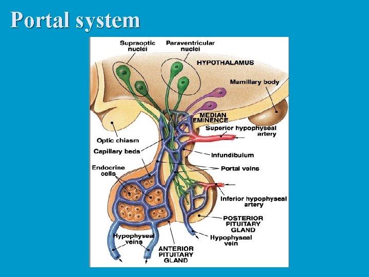 Portal system 