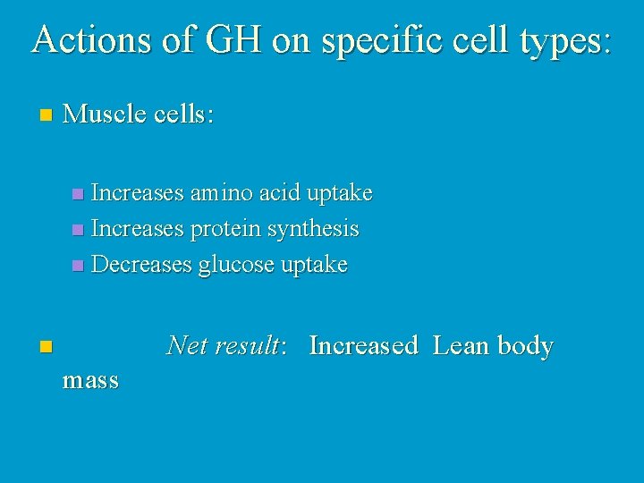 Actions of GH on specific cell types: n Muscle cells: Increases amino acid uptake