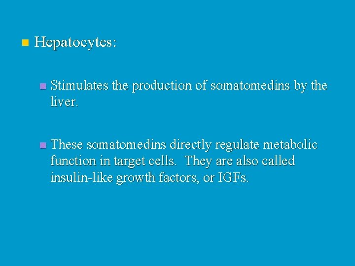 n Hepatocytes: n Stimulates the production of somatomedins by the liver. n These somatomedins