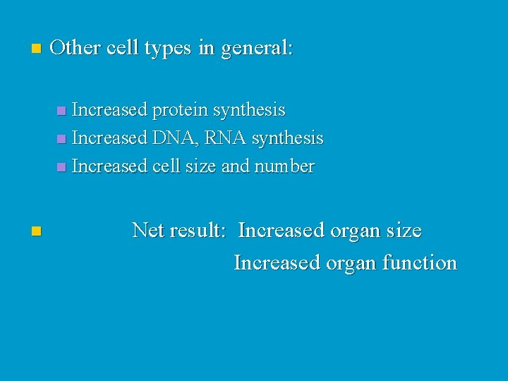 n Other cell types in general: Increased protein synthesis n Increased DNA, RNA synthesis