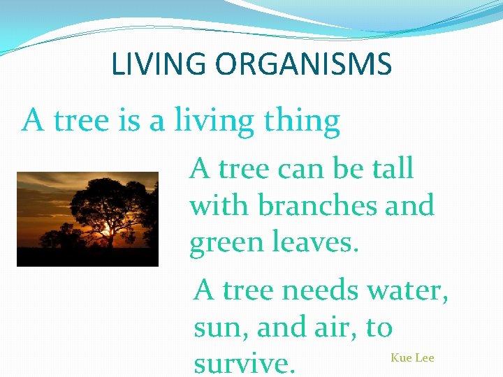 LIVING ORGANISMS A tree is a living thing ` A tree can be tall