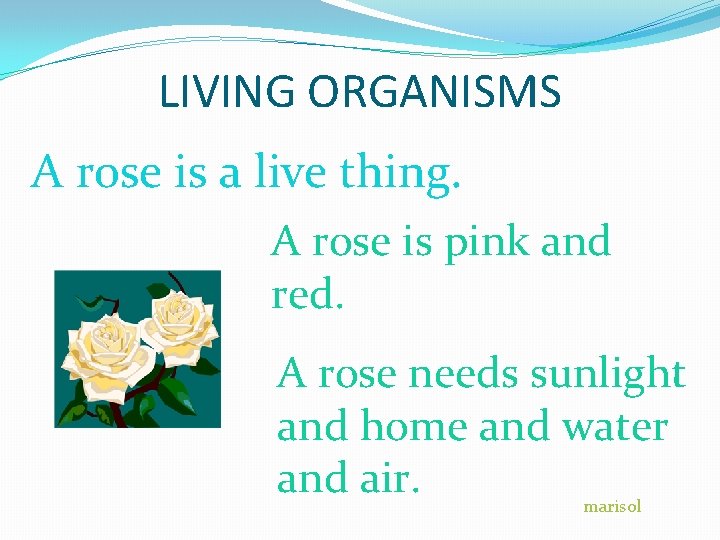 LIVING ORGANISMS A rose is a live thing. A rose is pink and red.