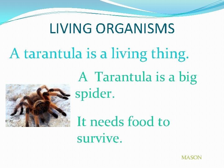 LIVING ORGANISMS A tarantula is a living thing. PICTURE A Tarantula is a big