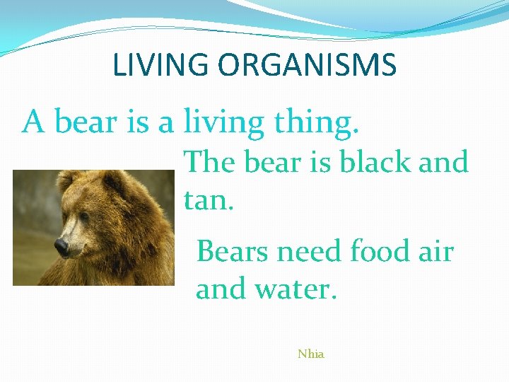 LIVING ORGANISMS A bear is a living thing. The bear is black and tan.