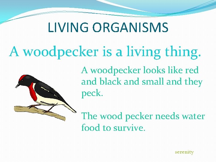 LIVING ORGANISMS A woodpecker is a living thing. A woodpecker looks like red and