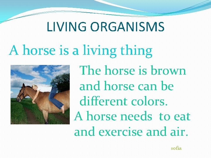 LIVING ORGANISMS A horse is a living thing PICTURE The horse is brown and