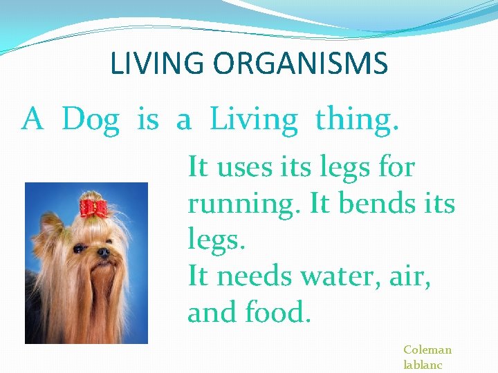 LIVING ORGANISMS A Dog is a Living thing. PICTURE It uses its legs for