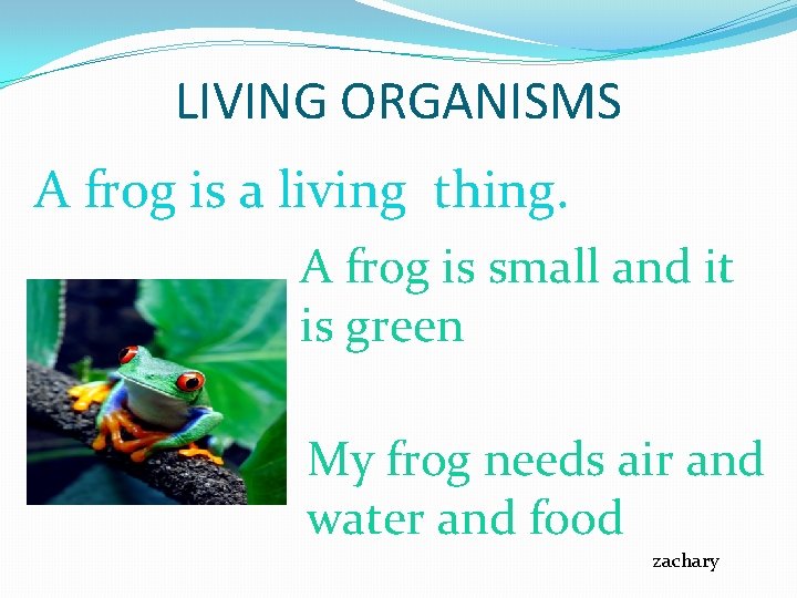 LIVING ORGANISMS A frog is a living thing. A frog is small and it