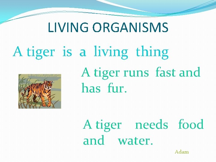 LIVING ORGANISMS A tiger is a living thing A tiger runs fast and has