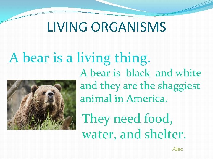 LIVING ORGANISMS A bear is a living thing. PICTURE A bear is black and