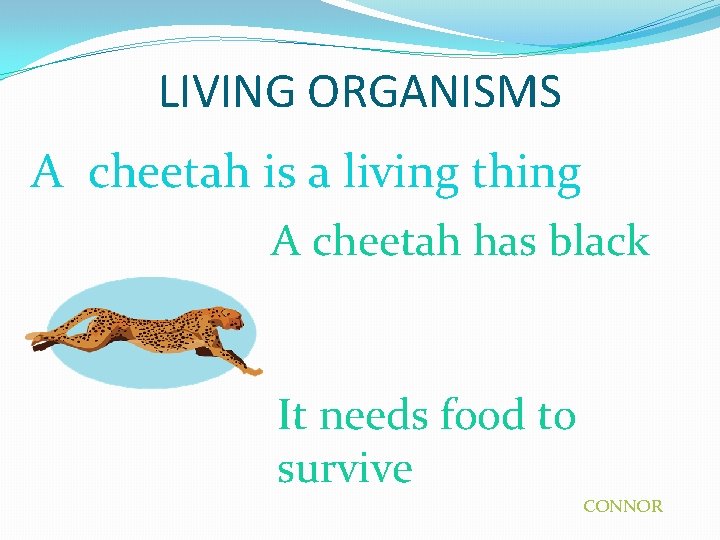 LIVING ORGANISMS A cheetah is a living thing A cheetah has black It needs