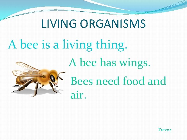 LIVING ORGANISMS A bee is a living thing. A bee has wings. Bees need