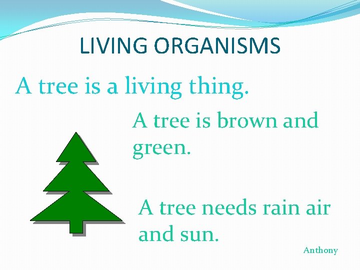 LIVING ORGANISMS A tree is a living thing. A tree is brown and green.