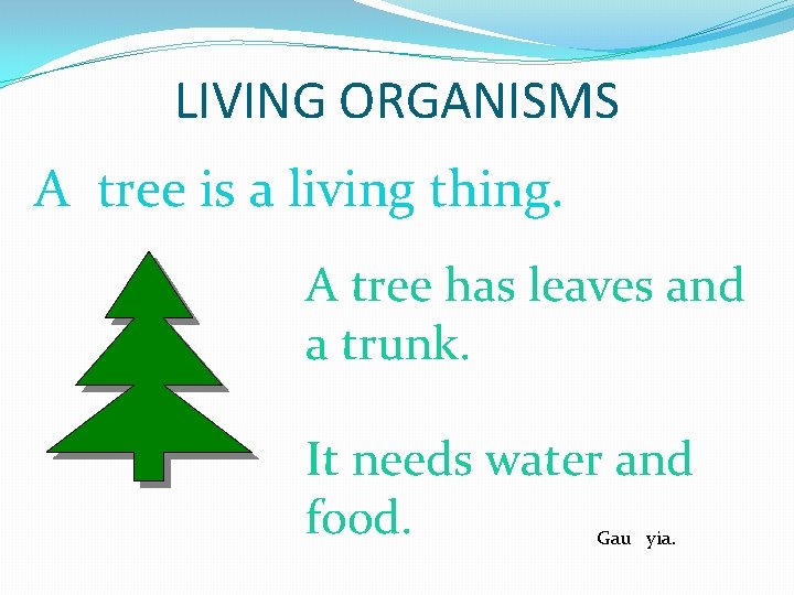 LIVING ORGANISMS A tree is a living thing. A tree has leaves and a