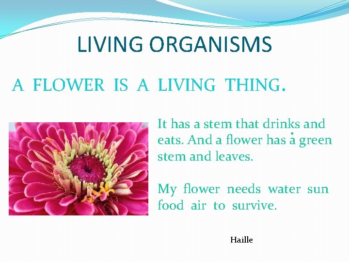 LIVING ORGANISMS A FLOWER IS A LIVING THING. It has a stem that drinks